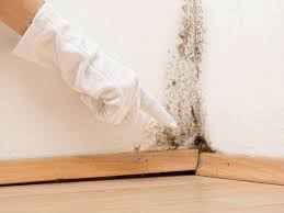 Trusted Cuthbert, GA Mold Prevention & Removal  Experts